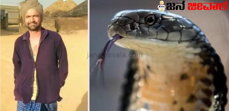 ಮೊದಲೊಮ್ಮೆ ಹಾವು ಕಚ್ತು : ಚಿಕಿತ್ಸೆ ಪಡೆದ ನಂತರ ಮತ್ತೊಮ್ಮೆಯೂ ಹಾವು ಕಡಿದು ವ್ಯಕ್ತಿ ಸಾವು