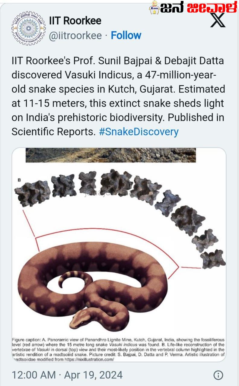 ಭಾರತದಲ್ಲಿತ್ತು ವಿಶ್ವದ ದೈತ್ಯ ಹಾವು !