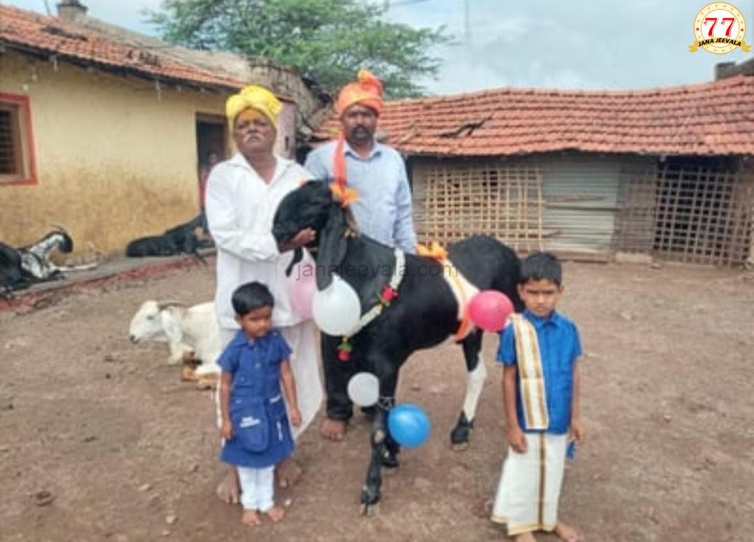 ಬಕ್ರೀದ್ ಹಬ್ಬಕ್ಕೆ ಬರೋಬ್ಬರಿ 2.30 ರೂ.ಲಕ್ಷಕ್ಕೆ ಮೇಕೆಗಳ ಮಾರಾಟ !