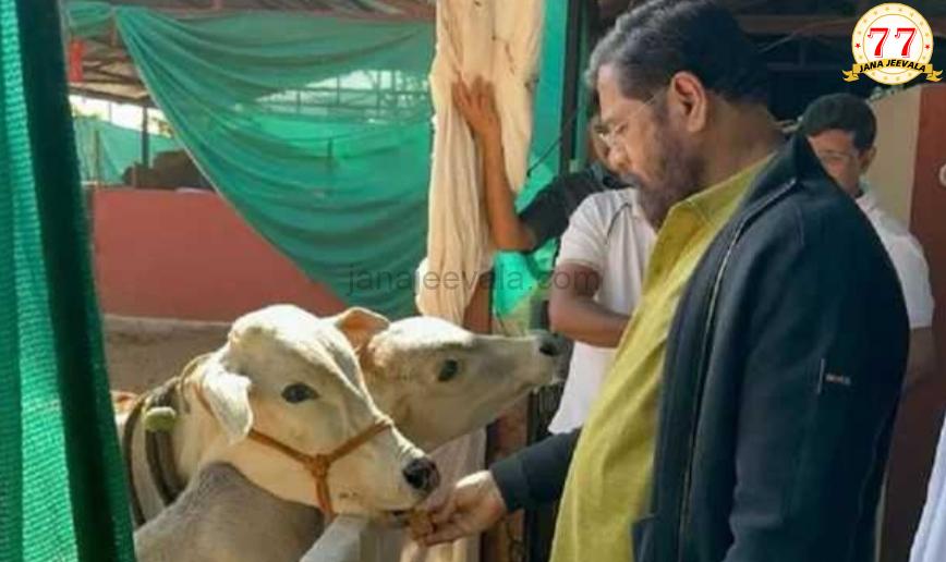 ದೇಸಿ ಹಸುಗಳನ್ನು ರಾಜ್ಯಮಾತೆ- ಗೋಮಾತೆಯೆಂದು ಘೋಷಿಸಿದ ಮಹಾರಾಷ್ಟ್ರ ಸರಕಾರ