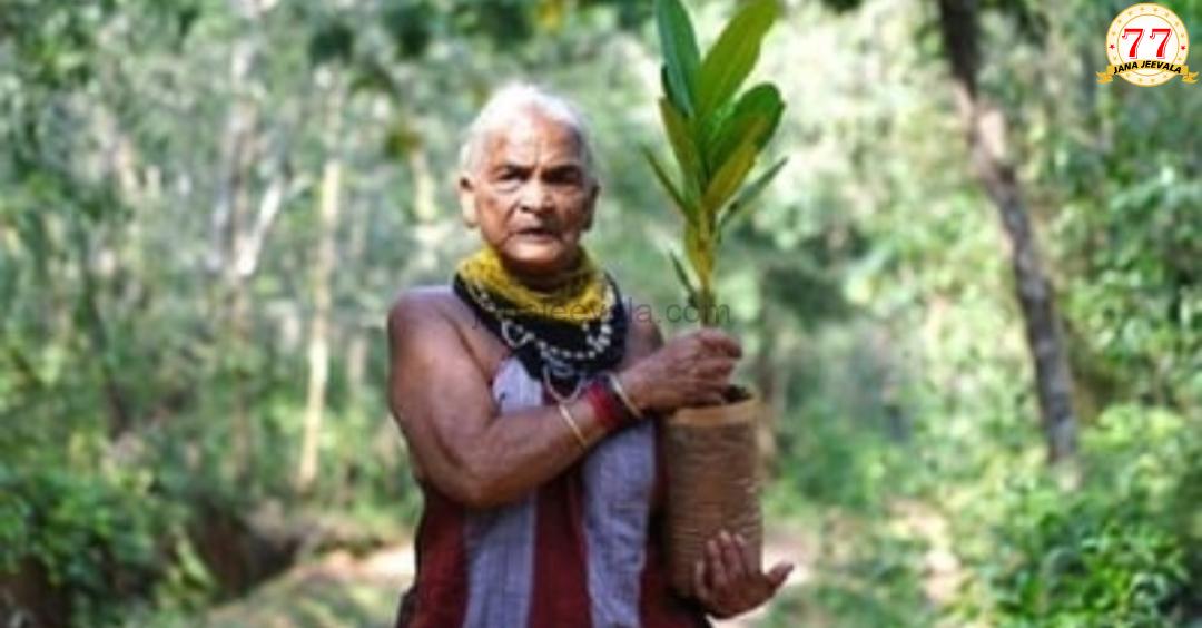 ಪರಿಸರ ಪ್ರೇಮಿ, ಪದ್ಮಶ್ರೀ ಪುರಸ್ಕೃತ ತುಳಸಿ ಗೌಡ ಇನ್ನಿಲ್ಲ