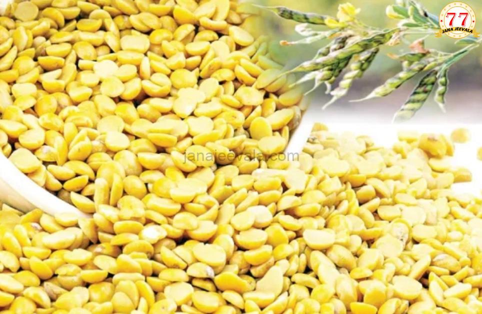 ರಾಜ್ಯದ ತೊಗರಿ ಬೆಳೆಗಾರರಿಗೆ ಸಿಹಿ ಸುದ್ದಿ ; ಪ್ರೋತ್ಸಾಹ ಧನ ಘೋಷಿಸಿದ ರಾಜ್ಯ ಸರ್ಕಾರ
