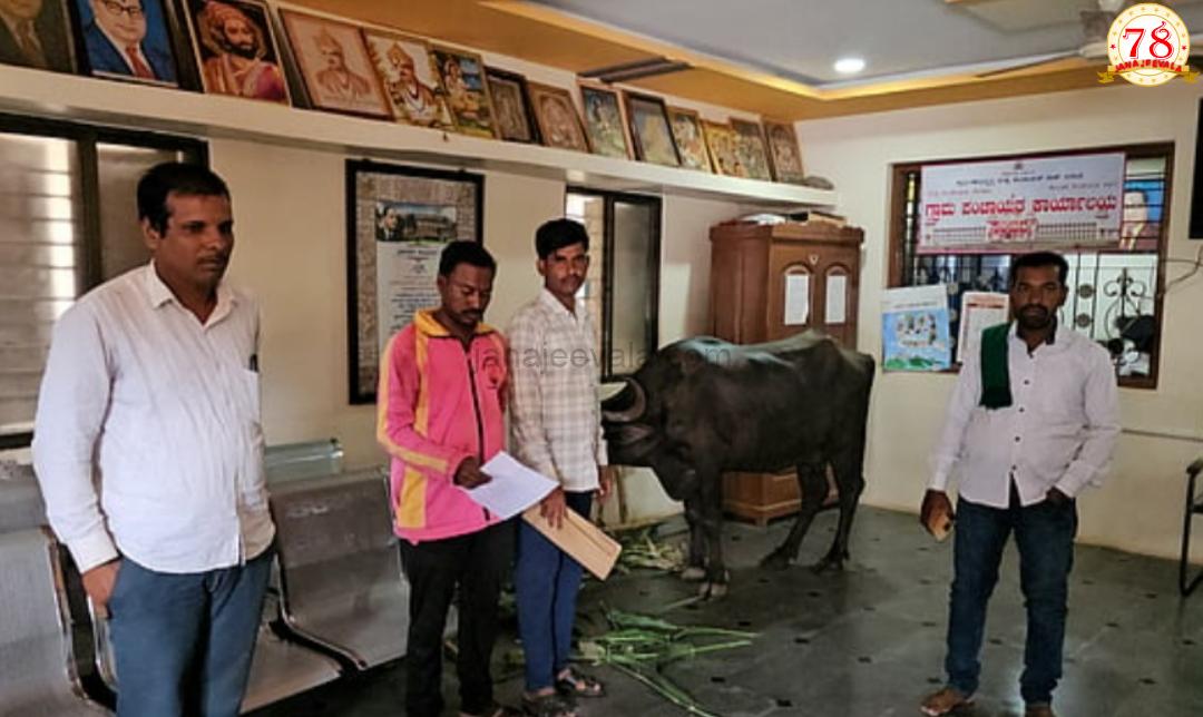 ಹಣ ಮಂಜೂರಾದರೂ ಸಿಗದ ನೆರವು: ಗ್ರಾಮ ಪಂಚಾಯಿತಿಯೊಗೆ ಎಮ್ಮೆ ಕಟ್ಟಿದ ರೈತ !