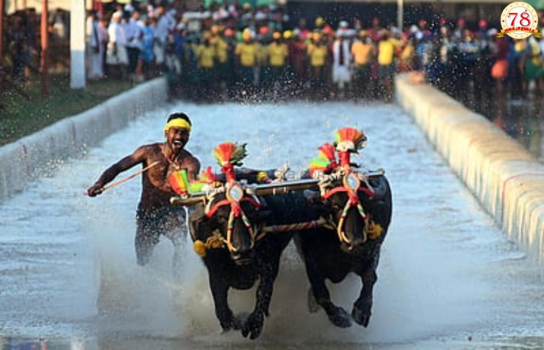 ರಾಜ್ಯದೆಲ್ಲೆಡೆ ಕಂಬಳಕ್ಕೆ ಸುಪ್ರೀಂ ಕೋರ್ಟ್‌ ಅನುಮತಿ ನಿರ್ದಿಷ್ಟ ಪ್ರದೇಶಕ್ಕೆ ಕಂಬಳ ಸೀಮಿತ ಏಕೆ: ಸುಪ್ರೀಂ ಕೋರ್ಟ್‌ ಪ್ರಶ್ನೆ