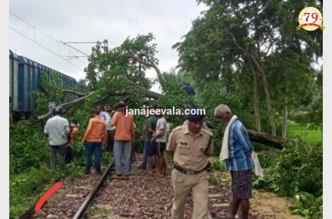 ರೈಲ್ವೆ ಹಳಿ ಮೇಲು ಬಿದ್ದ 30 ಅಡಿ ಎತ್ತರದ ಮರ: ಸಂಚಾರ ಅಸ್ತವ್ಯಸ್ತ ...