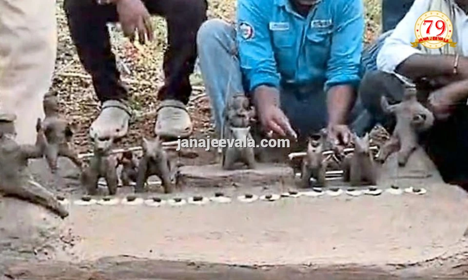 ಡಿಕೆಶಿ ಸಿಎಂ : ನಿಜವಾಯ್ತು ಬೊಂಬೆ ಭವಿಷ್ಯ..!