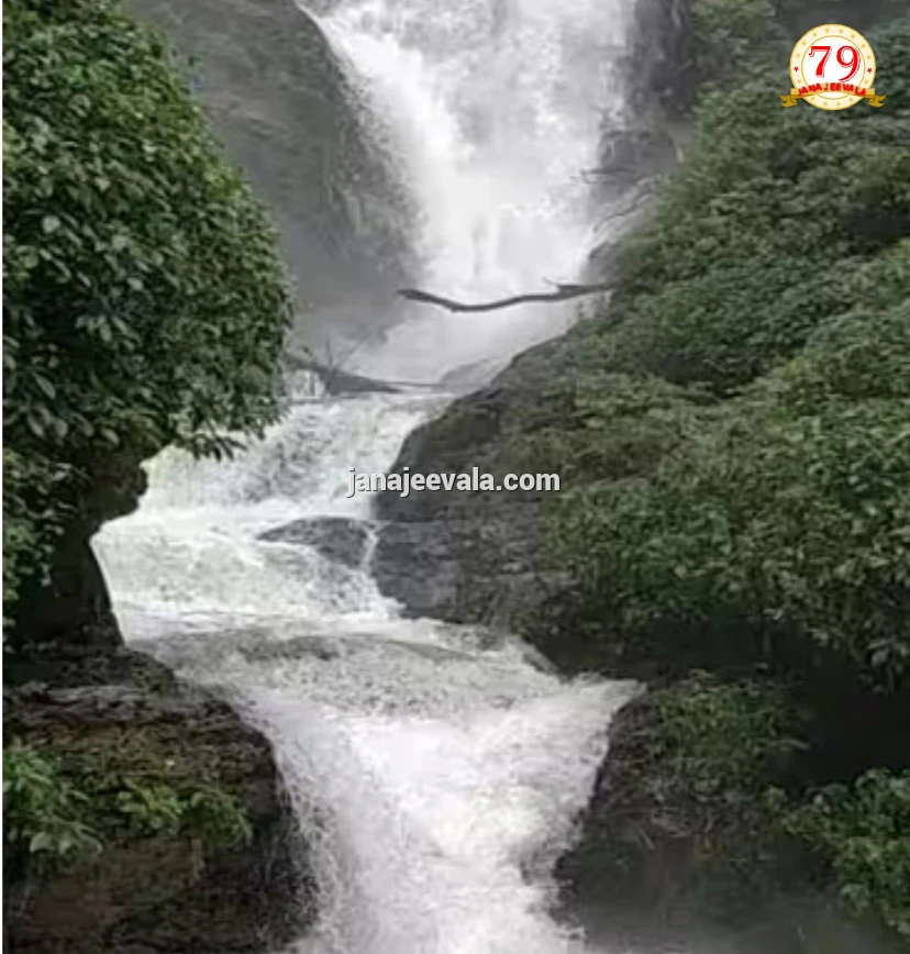 ಮಳೆಯ ಅಬ್ಬರಕ್ಕೆ ವಿಭೂತಿ ಜಲಪಾತ ಬಂದ್‌: ಪ್ರವಾಸಿಗರ ಪ್ರವೇಶಕ್ಕೆ ತಾತ್ಕಾಲಿಕ ನಿರ್ಬಂಧ