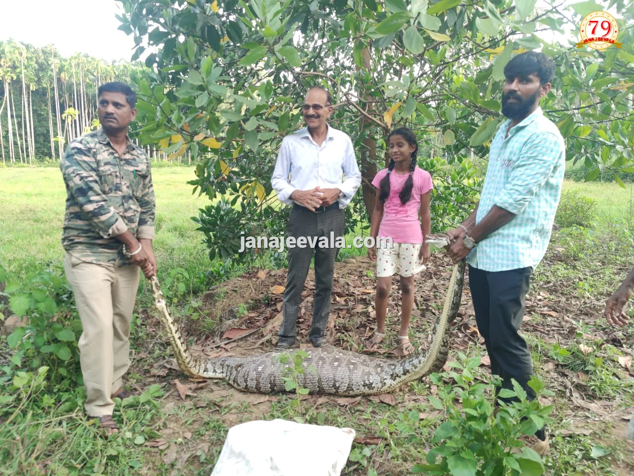 ಜಿಂಕೆಯನ್ನೇ ನುಂಗಿದ ಹೆಬ್ಬಾವು !