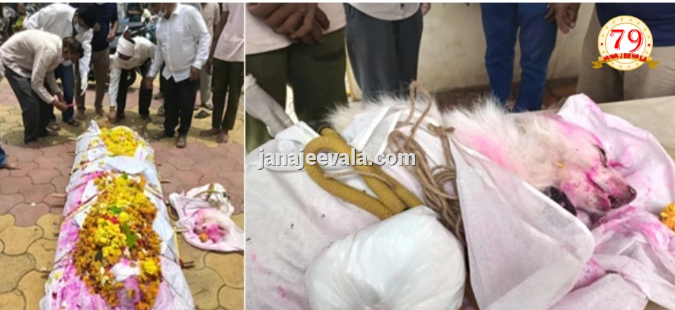 ಸಾವೂ ಬೇರ್ಪಡಿಸಲಿಲ್ಲ ಇವರಿಬ್ಬರ ಬಂಧವನ್ನು…; ಯಜಮಾನನ ಶವಯಾತ್ರೆಯಲ್ಲೇ ಪ್ರಾಣ ಬಿಟ್ಟ ನಿಷ್ಠಾವಂತ ನಾಯಿ ʼದುಗ್ಗುʼ