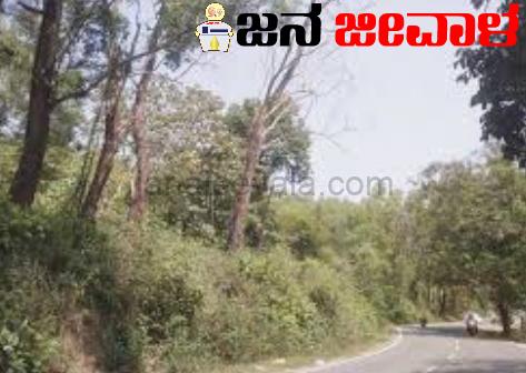 ಮರಗಳ ತೆರವು: ಸಾರ್ವಜನಿಕರಿಂದ ಅಹವಾಲು ಆಕ್ಷೇಪಣೆಗೆ ಸೂಚನೆ ಮರಗಳ ತೆರವು: ಸಾರ್ವಜನಿಕರಿಂದ ಅಹವಾಲು ಆಕ್ಷೇಪಣೆಗೆ ಸೂಚನೆ