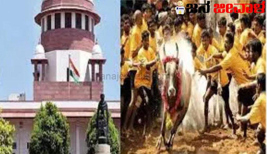 ಜಲ್ಲಿಕಟ್ಟು, ಕಂಬಳ ಕ್ರೀಡೆಗಳಿಗೆ ಸುಪ್ರೀಂ ಕೋರ್ಟ್ ಅನುಮತಿ; ತಿದ್ದುಪಡಿ ಕಾಯಿದೆ ಎತ್ತಿ ಹಿಡಿದ ನ್ಯಾಯಾಲಯ ಜಲ್ಲಿಕಟ್ಟು, ಕಂಬಳ ಕ್ರೀಡೆಗಳಿಗೆ ಸುಪ್ರೀಂ ಕೋರ್ಟ್ ಅನುಮತಿ; ತಿದ್ದುಪಡಿ ಕಾಯಿದೆ ಎತ್ತಿ ಹಿಡಿದ ನ್ಯಾಯಾಲಯ