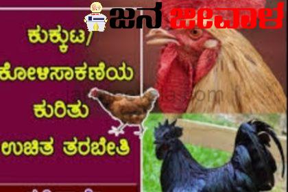 ನಿರುದ್ಯೋಗಿಗಳೇ ಗಮನಿಸಿ : 10 ದಿನಗಳ ಉಚಿತ ಕೋಳಿ ಸಾಕಾಣಿಕೆ ತರಬೇತಿ