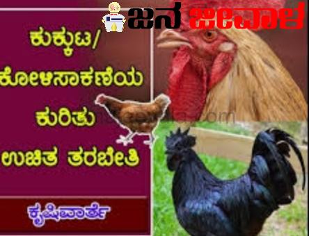 ನಿರುದ್ಯೋಗಿಗಳೇ ಗಮನಿಸಿ : 10 ದಿನಗಳ ಉಚಿತ ಕೋಳಿ ಸಾಕಾಣಿಕೆ ತರಬೇತಿ