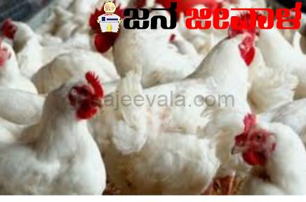 ಕೃತಕ ಆಭರಣಗಳ ತಯಾರಿಕೆ ಹಾಗೂ ಕೋಳಿ ಸಾಕಾಣಿಕೆ ಅರ್ಜಿ ಅಹ್ವಾನ ಕೃತಕ ಆಭರಣಗಳ ತಯಾರಿಕೆ ಹಾಗೂ ಕೋಳಿ ಸಾಕಾಣಿಕೆ ಅರ್ಜಿ ಅಹ್ವಾನ
