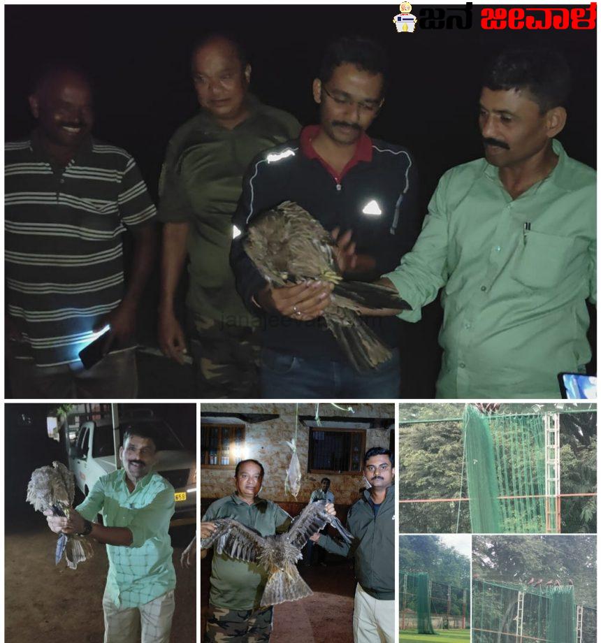 ಬಾನಂಗಳಕ್ಕೆ ಹಾರಿದ ಹದ್ದುಗಳು ; ‘ಜನ ಜೀವಾಳ’ ವರದಿ ಬಿತ್ತರವಾಗುತ್ತಿದ್ದಂತೆ ಕಾರ್ಯಪ್ರವೃತ್ತವಾದ ಅರಣ್ಯ ಇಲಾಖೆ ಬಾನಂಗಳಕ್ಕೆ ಹಾರಿದ ಹದ್ದುಗಳು ; ‘ಜನ ಜೀವಾಳ’ ವರದಿ ಬಿತ್ತರವಾಗುತ್ತಿದ್ದಂತೆ ಕಾರ್ಯಪ್ರವೃತ್ತವಾದ ಅರಣ್ಯ ಇಲಾಖೆ