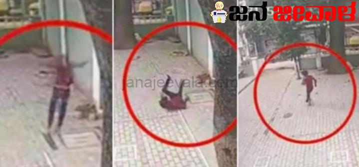 ಅತ್ಯಾಚಾರ ಆರೋಪಿ ಜೈಲಿನಿಂದ ತಪ್ಪಿಸಿಕೊಳ್ಳಲು 40 ಅಡಿ ಗೋಡೆ ಜಿಗಿದ ವೀಡಿಯೊ ವೈರಲ್ ; ನಂತರ ಆರೋಪಿಯ ಬಂಧನ ಅತ್ಯಾಚಾರ ಆರೋಪಿ ಜೈಲಿನಿಂದ ತಪ್ಪಿಸಿಕೊಳ್ಳಲು 40 ಅಡಿ ಗೋಡೆ ಜಿಗಿದ ವೀಡಿಯೊ ವೈರಲ್ ; ನಂತರ ಆರೋಪಿಯ ಬಂಧನ