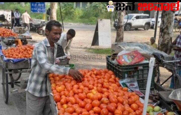 ಟೊಮ್ಯಾಟೊ ಬೆಲೆ ಈಗ ಕೆಜಿಗೆ 80 ಪೈಸೆ