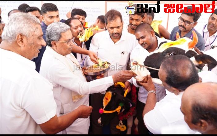 ಪಶುಸಂಗೋಪನೆ ಹೆಚ್ಚಿದಷ್ಟೂ ನಾಡಿನ ಸಂಪತ್ತು ಹೆಚ್ಚಿ ಆರ್ಥಿಕತೆ ಪ್ರಗತಿ ಕಾಣುತ್ತದೆ: ಸಿದ್ದರಾಮಯ್ಯ ಪಶುಸಂಗೋಪನೆ ಹೆಚ್ಚಿದಷ್ಟೂ ನಾಡಿನ ಸಂಪತ್ತು ಹೆಚ್ಚಿ ಆರ್ಥಿಕತೆ ಪ್ರಗತಿ ಕಾಣುತ್ತದೆ: ಸಿದ್ದರಾಮಯ್ಯ