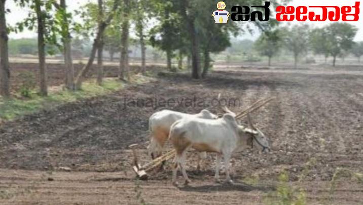 ದೇಶದಲ್ಲಿ ಈ ಸಲ ಹಿಂದೆಂದಿಗಿಂತ ಹೆಚ್ಚು ಮಳೆ ಅಭಾವ