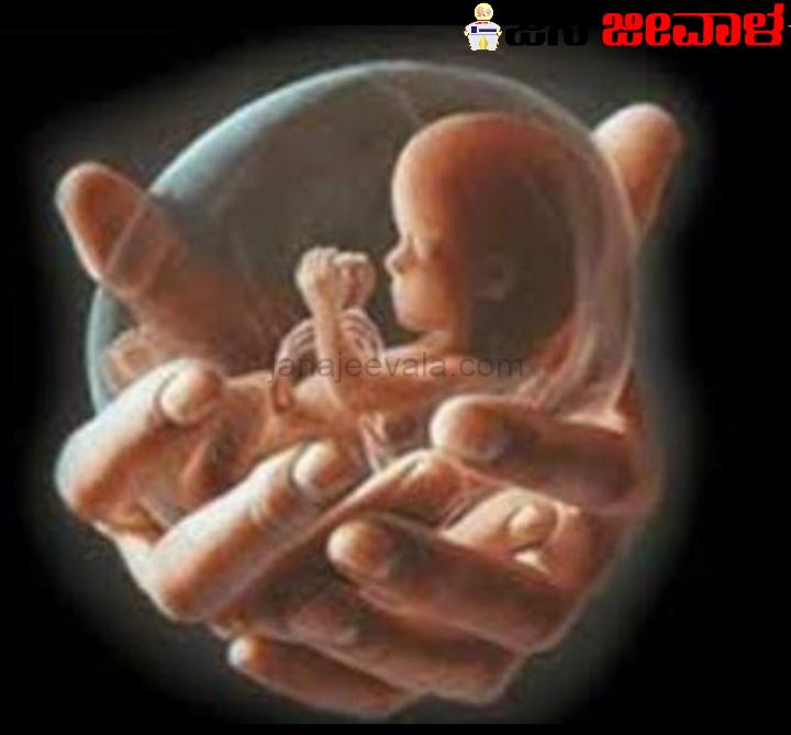 ರಾಜ್ಯದಲ್ಲಿ ಹೆಣ್ಣು ಶಿಶು ಭ್ರೂಣ ಹತ್ಯೆ: ಸಿಐಡಿ ತನಿಖೆಗೆ ಒಪ್ಪಿಸಿದ ರಾಜ್ಯ ಸರ್ಕಾರ ರಾಜ್ಯದಲ್ಲಿ ಹೆಣ್ಣು ಶಿಶು ಭ್ರೂಣ ಹತ್ಯೆ: ಸಿಐಡಿ ತನಿಖೆಗೆ ಒಪ್ಪಿಸಿದ ರಾಜ್ಯ ಸರ್ಕಾರ