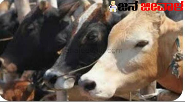 ಮುಚ್ಚಂಡಿಯಲ್ಲಿಂದು ಹೊಸ ಪಶು ಚಿಕಿತ್ಸಾಲಯ ಉದ್ಘಾಟನೆ ಮುಚ್ಚಂಡಿಯಲ್ಲಿಂದು ಹೊಸ ಪಶು ಚಿಕಿತ್ಸಾಲಯ ಉದ್ಘಾಟನೆ