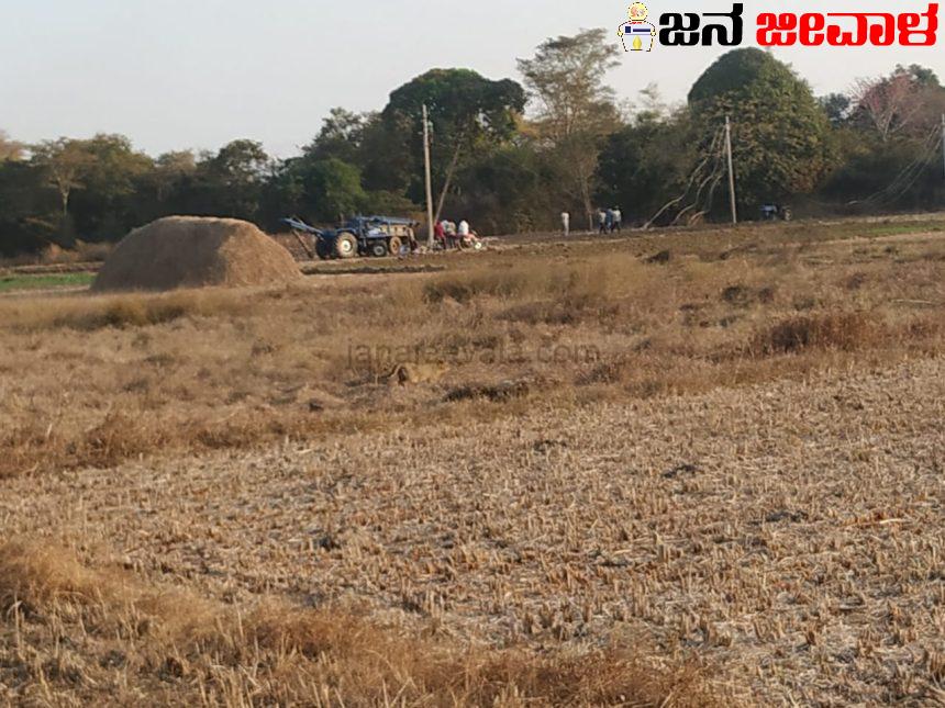 ಖಾನಾಪುರದ ಹಳ್ಳಿಯಲ್ಲಿ ಕಂಡು ಬಂತು ಚಿರತೆ ಮರಿ ಖಾನಾಪುರದ ಹಳ್ಳಿಯಲ್ಲಿ ಕಂಡು ಬಂತು ಚಿರತೆ ಮರಿ