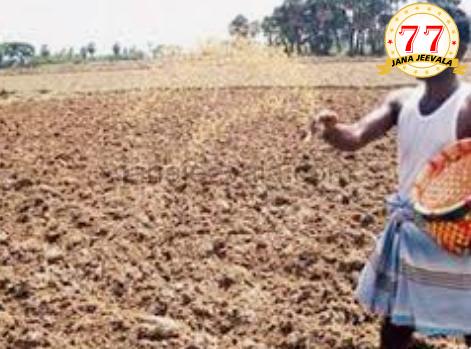 ನೆರೆಯ ರಾಜ್ಯಗಳ ಹೋಲಿಕೆಯಲ್ಲಿ ಬಿತ್ತನೆ ಬೀಜಗಳ ದರ ರಾಜ್ಯದಲ್ಲಿ ಕಡಿಮೆ- ಬರಗಾಲದಿಂದ ಕುಂಠಿತವಾದ ಬೀಜೋತ್ಪಾದನೆ ದರ ಹೆಚ್ಚಳಕ್ಕೆ ಕಾರಣ: ಸಿಎಂ ನೆರೆಯ ರಾಜ್ಯಗಳ ಹೋಲಿಕೆಯಲ್ಲಿ ಬಿತ್ತನೆ ಬೀಜಗಳ ದರ ರಾಜ್ಯದಲ್ಲಿ ಕಡಿಮೆ- ಬರಗಾಲದಿಂದ ಕುಂಠಿತವಾದ ಬೀಜೋತ್ಪಾದನೆ ದರ ಹೆಚ್ಚಳಕ್ಕೆ ಕಾರಣ: ಸಿಎಂ