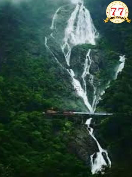 ದೂದಸಾಗರದಲ್ಲಿ ಮುಳುಗುತ್ತಿದ್ದ ಬಾಲೆಯ ರಕ್ಷಣೆ ದೂದಸಾಗರದಲ್ಲಿ ಮುಳುಗುತ್ತಿದ್ದ ಬಾಲೆಯ ರಕ್ಷಣೆ