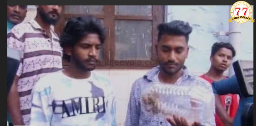 ಕಚ್ಚಿದ ಹಾವನ್ನು ಹಿಡಿದುಕೊಂಡು ವೈದ್ಯರಿಗೆ ತೋರಿಸಲು ಬಂದ ಯುವಕ ! ಕಚ್ಚಿದ ಹಾವನ್ನು ಹಿಡಿದುಕೊಂಡು ವೈದ್ಯರಿಗೆ ತೋರಿಸಲು ಬಂದ ಯುವಕ !