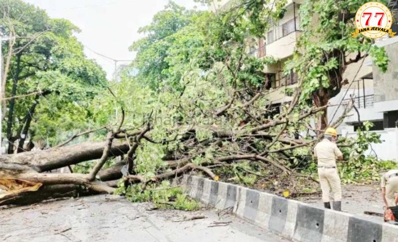 ವರುಣನ ರೌದ್ರಾವತಾರ : 133 ವರ್ಷಗಳ ದಾಖಲೆ ಮುರಿದ ಬೆಂಗಳೂರು ಮಳೆ ! ವರುಣನ ರೌದ್ರಾವತಾರ : 133 ವರ್ಷಗಳ ದಾಖಲೆ ಮುರಿದ ಬೆಂಗಳೂರು ಮಳೆ !