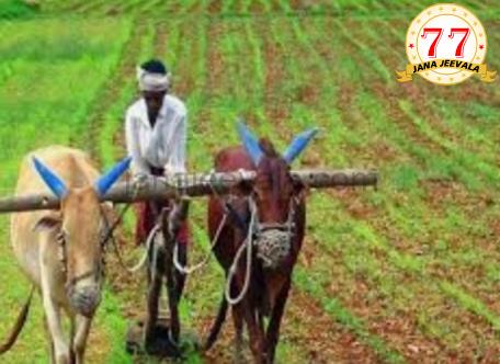 ತೆಲಂಗಾಣದಲ್ಲಿ ಕೃಷಿ ಸಾಲ ಮನ್ನಾಕ್ಕೆ ಸಂಪುಟ ಒಪ್ಪಿಗೆ : ಕರ್ನಾಟಕದಲ್ಲೂ ಸಾಲ ಮನ್ನಾ ಮಾಡಲು ಆಗ್ರಹ ತೆಲಂಗಾಣದಲ್ಲಿ ಕೃಷಿ ಸಾಲ ಮನ್ನಾಕ್ಕೆ ಸಂಪುಟ ಒಪ್ಪಿಗೆ : ಕರ್ನಾಟಕದಲ್ಲೂ ಸಾಲ ಮನ್ನಾ ಮಾಡಲು ಆಗ್ರಹ