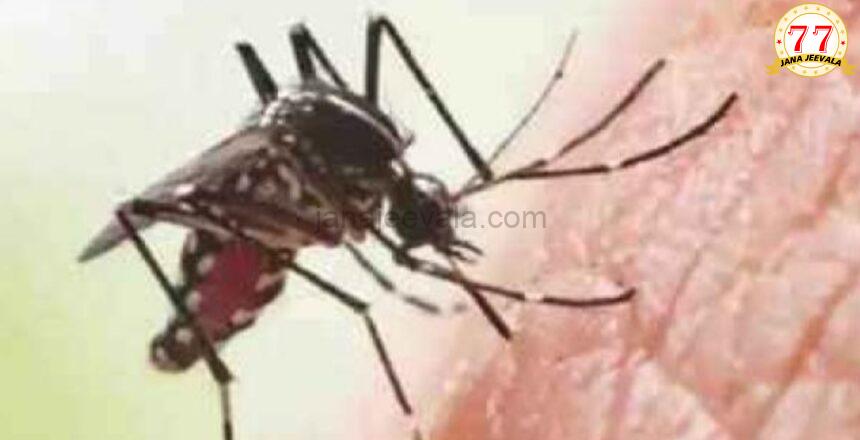 ರಾಜ್ಯದಲ್ಲಿ ‘ಡೆಂಗೆ’ ಹೆಚ್ಚಳ ; ಎಲ್ಲ ಶಾಲೆಗಳಿಗೆ ಮಾರ್ಗಸೂಚಿ ಪ್ರಕಟ ರಾಜ್ಯದಲ್ಲಿ ‘ಡೆಂಗೆ’ ಹೆಚ್ಚಳ ; ಎಲ್ಲ ಶಾಲೆಗಳಿಗೆ ಮಾರ್ಗಸೂಚಿ ಪ್ರಕಟ