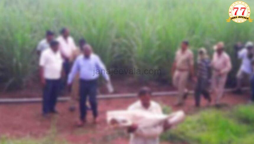 ಕೊಲ್ಲಾಪುರದಲ್ಲಿ ಬೆಳಕಿಗೆ ಬಂತು ಘೋರಕೃತ್ಯ : ಕಬ್ಬಿನ ಗದ್ದೆಯಲ್ಲಿ ಬಾಲಕಿಯ ಶವ ಪತ್ತೆ-ಅತ್ಯಾಚಾರವೆಸಗಿ ಕೊಲೆ ಕೊಲ್ಲಾಪುರದಲ್ಲಿ ಬೆಳಕಿಗೆ ಬಂತು ಘೋರಕೃತ್ಯ : ಕಬ್ಬಿನ ಗದ್ದೆಯಲ್ಲಿ ಬಾಲಕಿಯ ಶವ ಪತ್ತೆ-ಅತ್ಯಾಚಾರವೆಸಗಿ ಕೊಲೆ