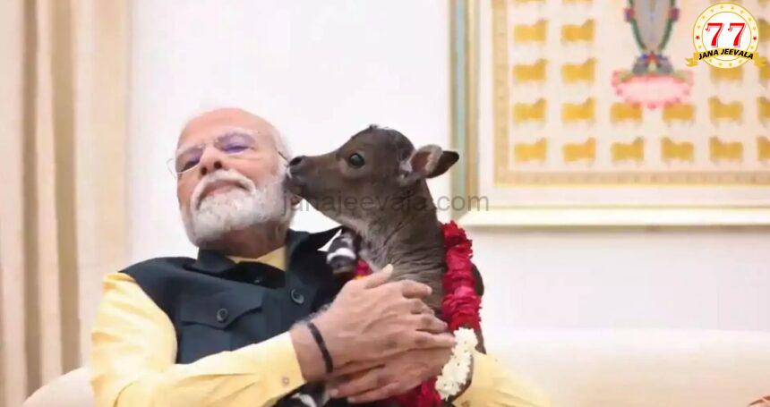 ಮೋದಿ ಕುಟುಂಬಕ್ಕೆ ಹೊಸ ಸದಸ್ಯೆ; ದೀಪಜ್ಯೋತಿಗೆ ಮುತ್ತಿಡುವ ವಿಡಿಯೋ ಶೇರ್ ಮಾಡಿದ ಪ್ರಧಾನಿ ಮೋದಿ ಕುಟುಂಬಕ್ಕೆ ಹೊಸ ಸದಸ್ಯೆ; ದೀಪಜ್ಯೋತಿಗೆ ಮುತ್ತಿಡುವ ವಿಡಿಯೋ ಶೇರ್ ಮಾಡಿದ ಪ್ರಧಾನಿ