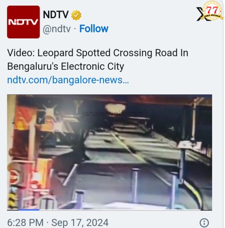 ಬೆಂಗಳೂರಿನ ಎಲೆಕ್ಟ್ರಾನಿಕ್ ಸಿಟಿ ಬಳಿ ರಸ್ತೆಯಲ್ಲಿ ಓಡಾಡಿದ ಚಿರತೆ ; ಸಿಸಿಟಿವಿಯಲ್ಲಿ ದೃಶ್ಯ ಸೆರೆ ಬೆಂಗಳೂರಿನ ಎಲೆಕ್ಟ್ರಾನಿಕ್ ಸಿಟಿ ಬಳಿ ರಸ್ತೆಯಲ್ಲಿ ಓಡಾಡಿದ ಚಿರತೆ ; ಸಿಸಿಟಿವಿಯಲ್ಲಿ ದೃಶ್ಯ ಸೆರೆ