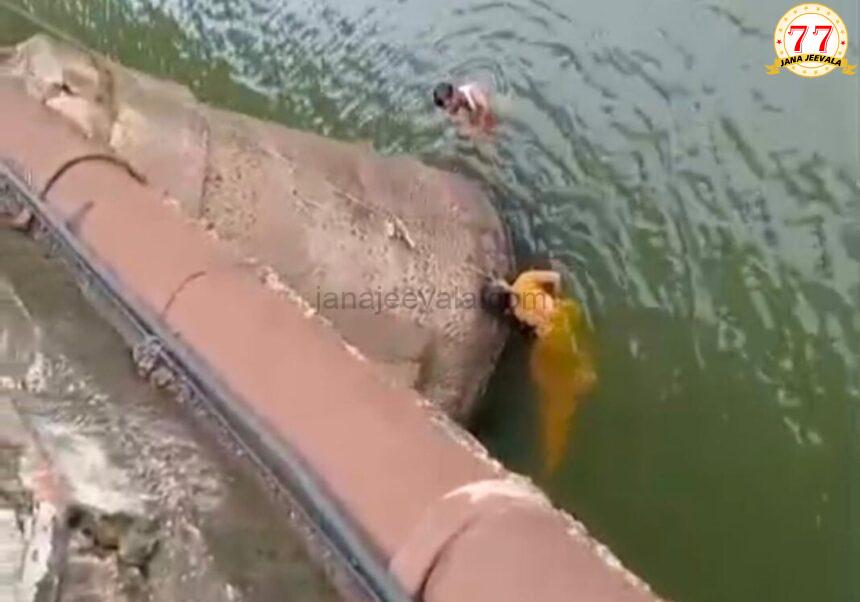 ಕೃಷ್ಣೆಗೆ ಜಿಗಿದ ಮಹಿಳೆ : ನದಿಗೆ ಹಾರಿ ರಕ್ಷಣೆ ಮಾಡಿದ ಯುವಕ ಕೃಷ್ಣೆಗೆ ಜಿಗಿದ ಮಹಿಳೆ : ನದಿಗೆ ಹಾರಿ ರಕ್ಷಣೆ ಮಾಡಿದ ಯುವಕ