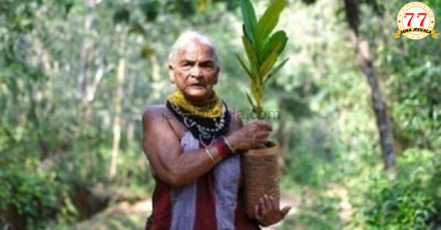 ಪರಿಸರ ಪ್ರೇಮಿ, ಪದ್ಮಶ್ರೀ ಪುರಸ್ಕೃತ ತುಳಸಿ ಗೌಡ ಇನ್ನಿಲ್ಲ