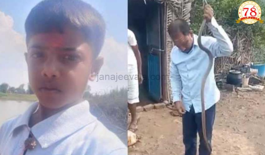 ಅಪರೂಪದ ಘಟನೆ ; ಮಗನ ಬಲಿ ಪಡೆದ ಹಾವು ರಕ್ಷಿಸಿ ಕಾಡಿಗೆ ಬಿಟ್ಟ ಕುಟುಂಬ