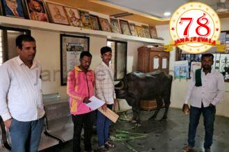 ಹಣ ಮಂಜೂರಾದರೂ ಸಿಗದ ನೆರವು: ಗ್ರಾಮ ಪಂಚಾಯಿತಿಯೊಗೆ ಎಮ್ಮೆ ಕಟ್ಟಿದ ರೈತ !