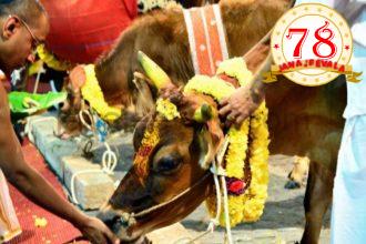 ದೇವಸ್ಥಾನಗಳಲ್ಲಿ ಬಲಿಪಾಡ್ಯಮಿ ದಿನದಂದು ಕಡ್ಡಾಯವಾಗಿ ಗೋಪೂಜೆ
