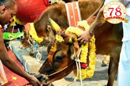 ದೇವಸ್ಥಾನಗಳಲ್ಲಿ ಬಲಿಪಾಡ್ಯಮಿ ದಿನದಂದು ಕಡ್ಡಾಯವಾಗಿ ಗೋಪೂಜೆ