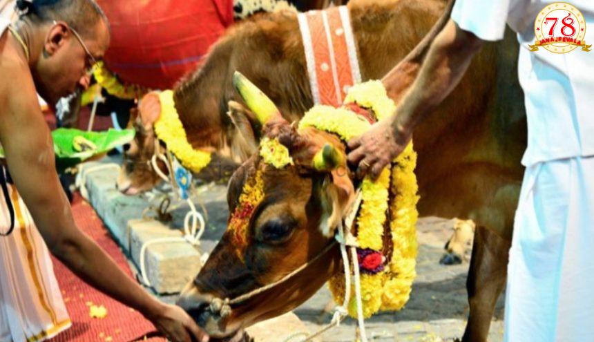 ದೇವಸ್ಥಾನಗಳಲ್ಲಿ ಬಲಿಪಾಡ್ಯಮಿ ದಿನದಂದು ಕಡ್ಡಾಯವಾಗಿ ಗೋಪೂಜೆ