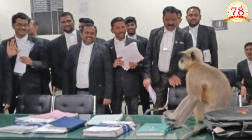 ನ್ಯಾಯಾಲಯಕ್ಕೆ ಆಗಮಿಸಿದ ವಾನರ !