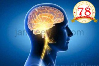 ಮಾನವನ ಪ್ರೌಢಾವಸ್ಥೆ ಪ್ರಾರಂಭವಾಗೋದು 32 ವರ್ಷಗಳ ನಂತರವಂತೆ ; ಮೆದುಳಿನ 5 ಹಂತಗಳ ಬಗ್ಗೆ ವಿಜ್ಞಾನಿಗಳ ಅಧ್ಯಯನದಲ್ಲಿ ಬಹಿರಂಗ…