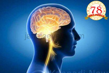 ಮಾನವನ ಪ್ರೌಢಾವಸ್ಥೆ ಪ್ರಾರಂಭವಾಗೋದು 32 ವರ್ಷಗಳ ನಂತರವಂತೆ ; ಮೆದುಳಿನ 5 ಹಂತಗಳ ಬಗ್ಗೆ ವಿಜ್ಞಾನಿಗಳ ಅಧ್ಯಯನದಲ್ಲಿ ಬಹಿರಂಗ…