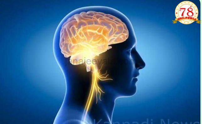 ಮಾನವನ ಪ್ರೌಢಾವಸ್ಥೆ ಪ್ರಾರಂಭವಾಗೋದು 32 ವರ್ಷಗಳ ನಂತರವಂತೆ ; ಮೆದುಳಿನ 5 ಹಂತಗಳ ಬಗ್ಗೆ ವಿಜ್ಞಾನಿಗಳ ಅಧ್ಯಯನದಲ್ಲಿ ಬಹಿರಂಗ…