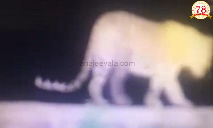 ಹುಬ್ಬಳ್ಳಿ: ಸಭಾಪತಿ ಬಸವರಾಜ ಹೊರಟ್ಟಿ ಅವರ ತೋಟದಲ್ಲಿ ಪ್ರತ್ಯಕ್ಷ