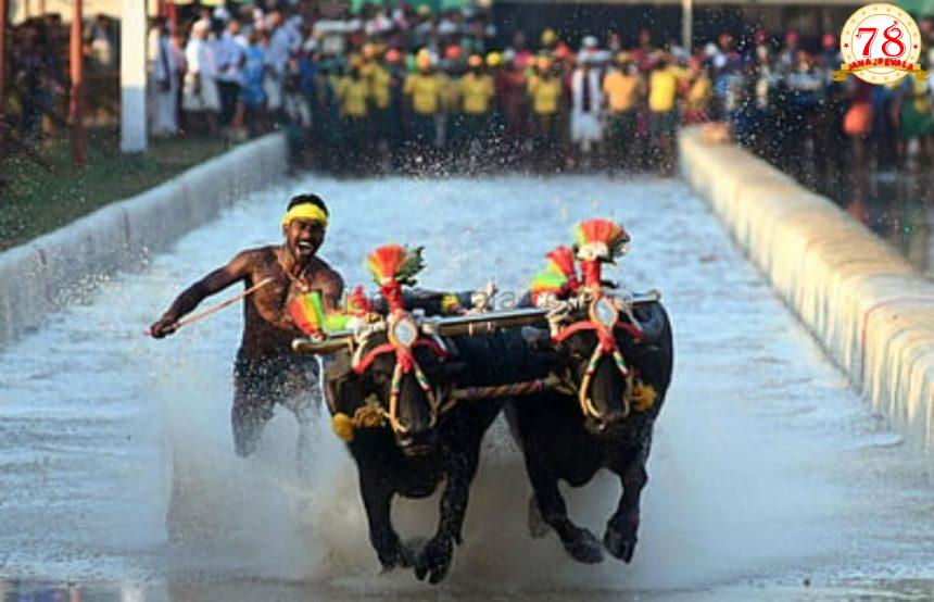 ರಾಜ್ಯದೆಲ್ಲೆಡೆ ಕಂಬಳಕ್ಕೆ ಸುಪ್ರೀಂ ಕೋರ್ಟ್‌ ಅನುಮತಿ ನಿರ್ದಿಷ್ಟ ಪ್ರದೇಶಕ್ಕೆ ಕಂಬಳ ಸೀಮಿತ ಏಕೆ: ಸುಪ್ರೀಂ ಕೋರ್ಟ್‌ ಪ್ರಶ್ನೆ