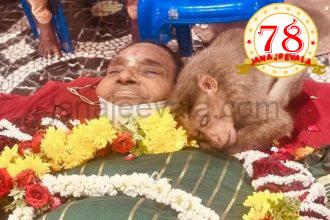 ವೃದ್ಧೆ ಮೃತದೇಹದ ಮೇಲೆ ಮಲಗಿ ದುಃಖಿಸಿದ ಮಂಗ ; ಅಲ್ಲಿದ್ದವರ ಕಣ್ಣಲ್ಲಿ ನೀರು